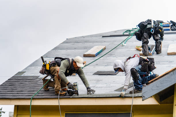 Professional Roof Replacement technician working in Monrovia, CA